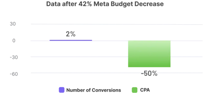 data Data after Meta Budget Decrease