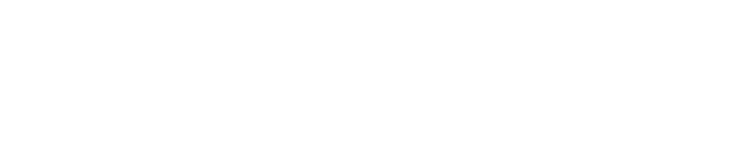 Roivenue logo white