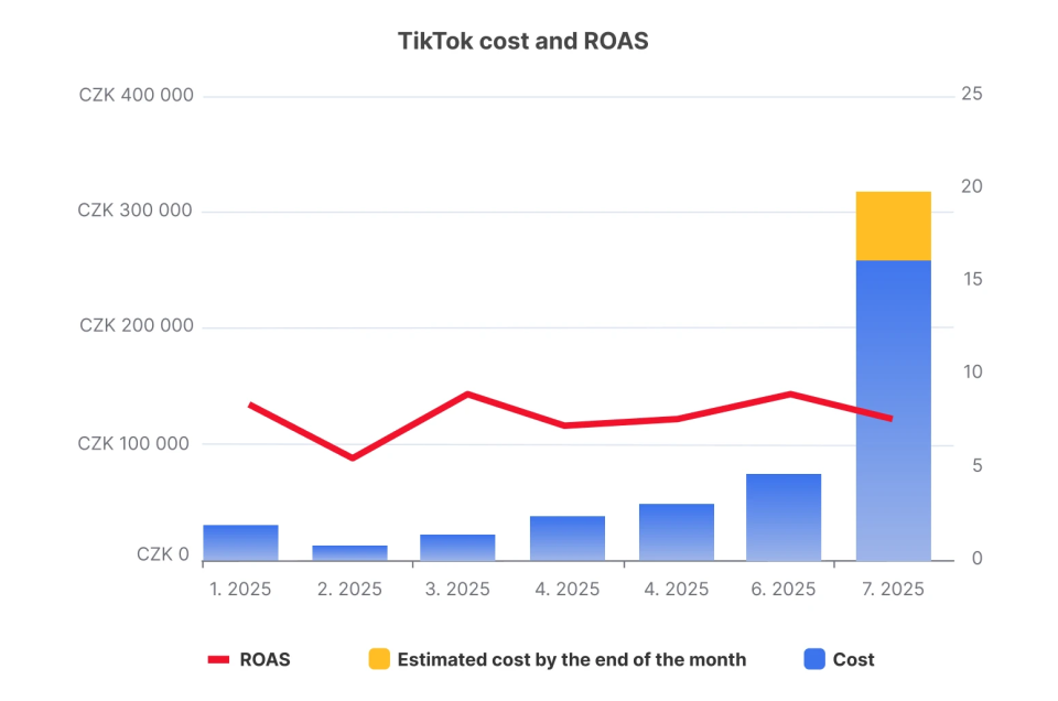 tiktok cost and roas
